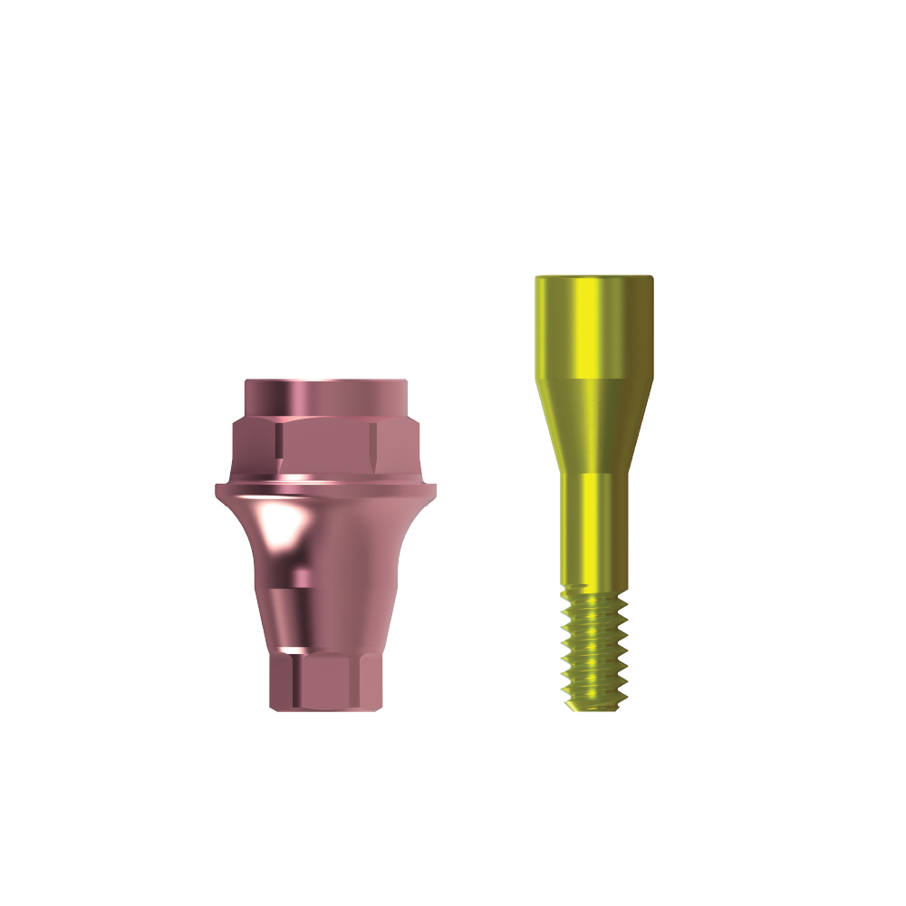 Straight Abutment Tissue Care + Screw 2.5mm